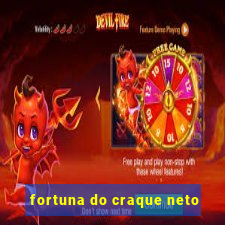 fortuna do craque neto